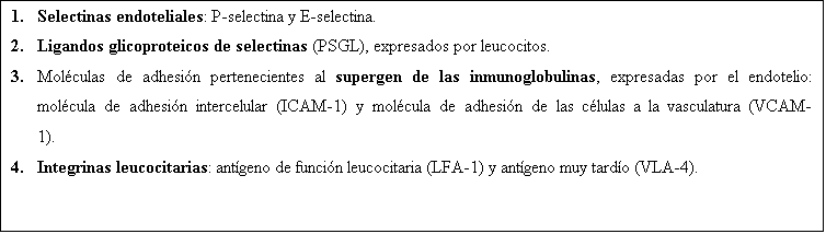 Text Box: 1.	Selectinas endoteliales: P-selectina y E-selectina.
2.	Ligandos glicoproteicos de selectinas (PSGL), expresados por leucocitos.
3.	Moléculas de adhesión pertenecientes al supergen de las inmunoglobulinas, expresadas por el endotelio: molécula de adhesión intercelular (ICAM-1) y molécula de adhesión de las células a la vasculatura (VCAM-1). 
4.	Integrinas leucocitarias: antígeno de función leucocitaria (LFA-1) y antígeno muy tardío (VLA-4).

