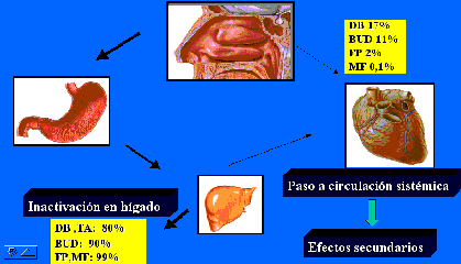 Farmacos esteroides sistemicos